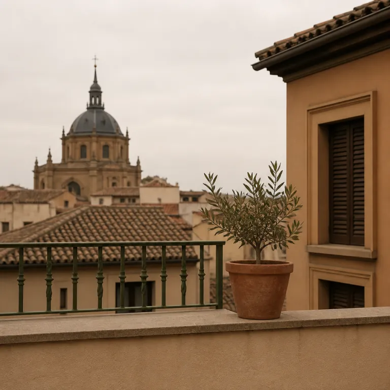 Madrid City Guide: Where to Stay Near the Main Sights
